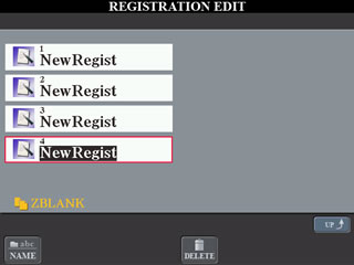 REGISTRATION EDIT screen showing 4 NewRegist name spaces